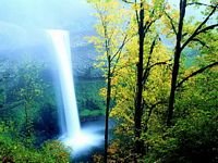 pic for Waterfall Nature